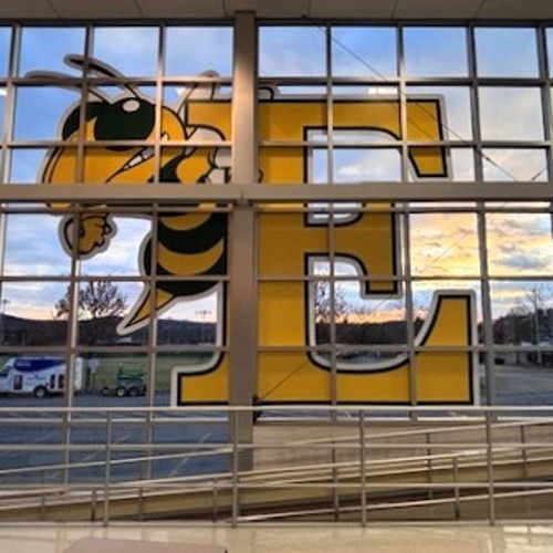 Window Graphics
